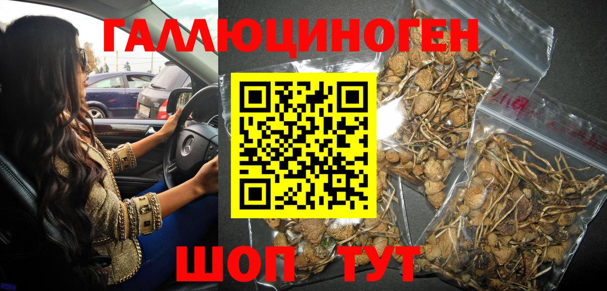 Зерноград  Псилоцибиновые грибы Cubensis  купить наркотики цена  Вход с VPN 