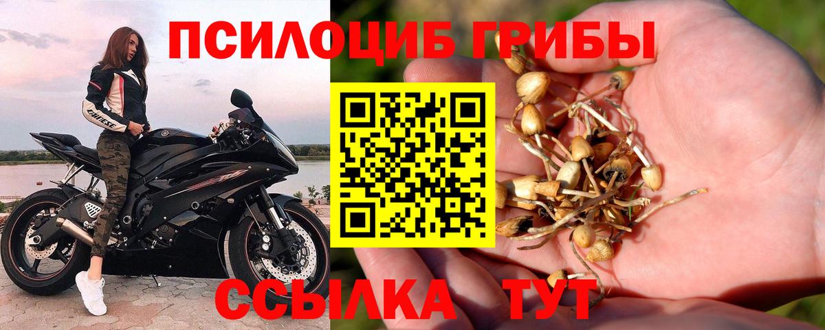 Псилоцибиновые грибы прущие грибы Зерноград