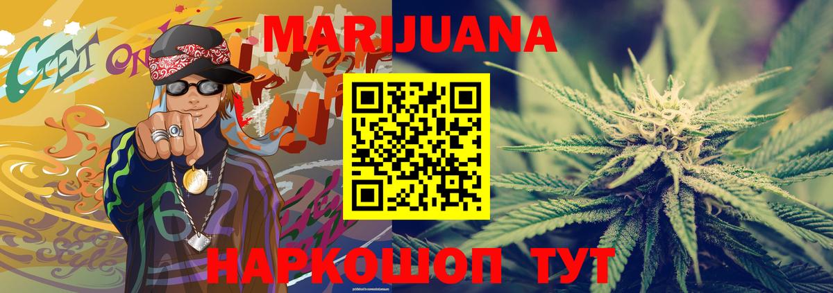 Конопля гибрид Зерноград